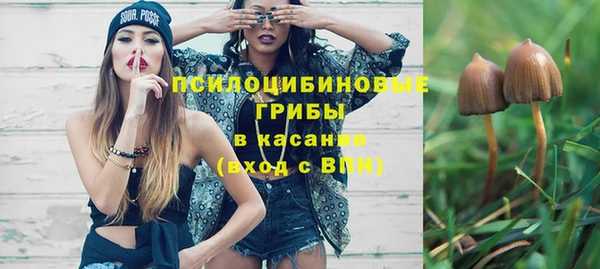 не бодяженный Алексин
