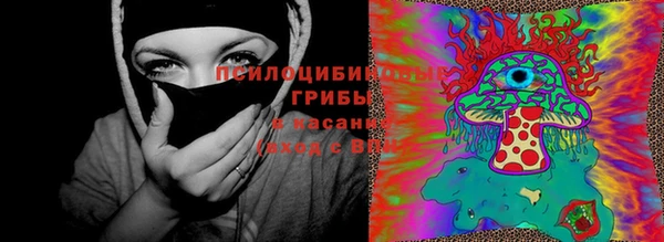 не бодяженный Алексин